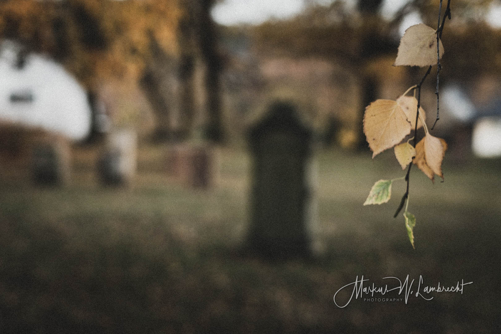 Vöhl, Jüdischer Friedhof